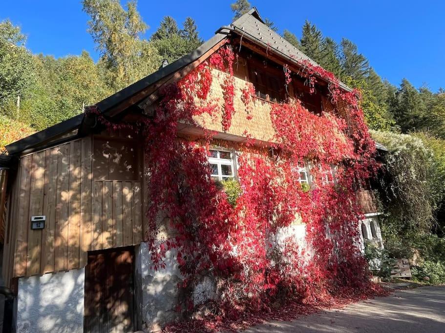شقة Auszeit Am Kreisbach تيبرغ المظهر الخارجي الصورة